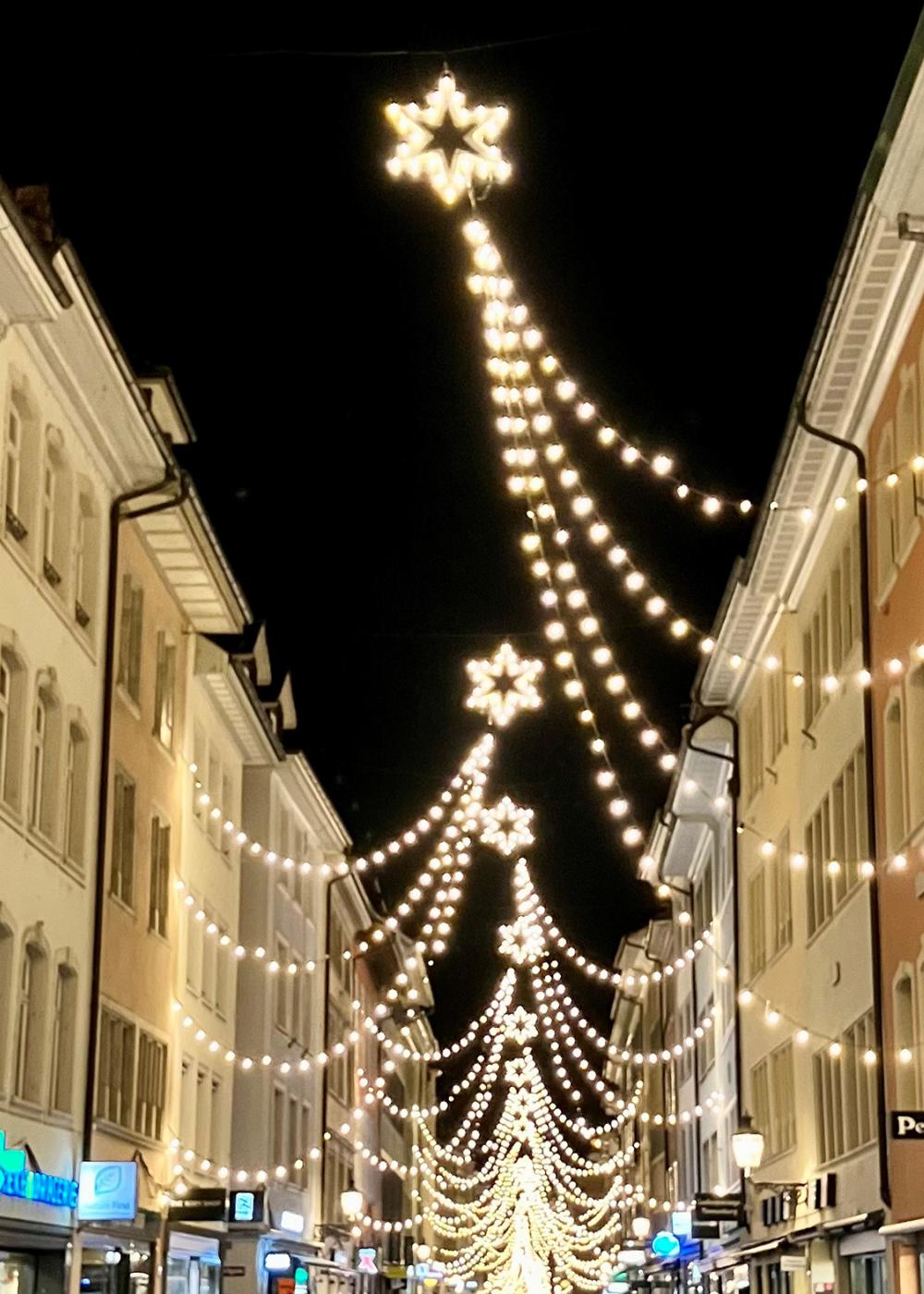 Weihnachtssterne in Winterthur by Thomas Suter